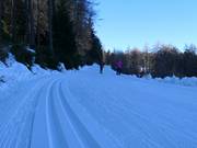 Centre de ski de fond Falzeben