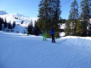 Wenalift - Télécorde/remonte-pente à câbles bas