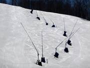 Enneigement des pistes par canons à neige