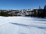 Piste facile Vesleseterbakken