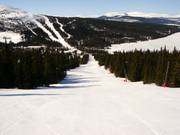 Piste facile au téléski Blabaerfjell