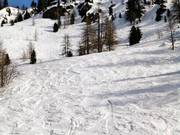 Zone de poudreuse au télésiège Lombarde