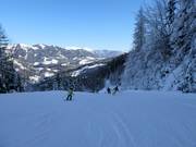Descente vers la vallée n° 1 vers Hinterstoder