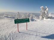 Limite du domaine skiable de l'Arber