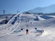Piste de course au téléski Tann