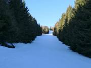 Piste familiale Riegel