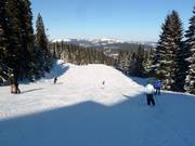 Piste Damenstrecke