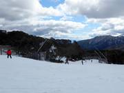Piste facile de vallée Wombats Ramble