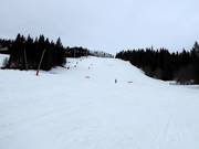 Large piste Viksvängen