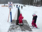 Tapis magique dans le Hirschzwergland