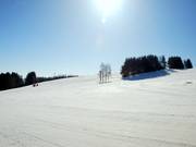 Vue depuis la descente du village vers les pistes à la Tenne
