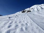 Piste à bosses Plansegg