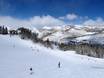 Salt Lake City: Taille des domaines skiables – Taille Solitude