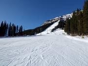 Piste facile Cascade