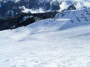 Piste difficile n° 55 Hochsaukaser