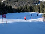 Station Adler7 Söllereck : Eagle Eye Run - parcours de slalom