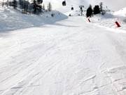 Piste Coq directement sous la télécabine Mercantour