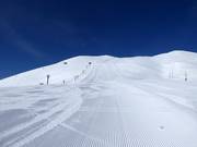 Piste difficile Dynamic (Grand Hirafu)