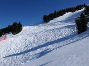 Pentes de poudreuse à Bormio