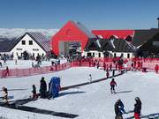 Kindy Conveyor - Tapis roulant/Moving Carpet