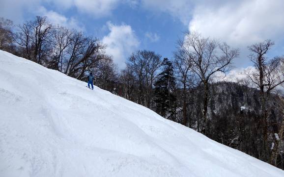 Domaines skiables pour skieurs confirmés et freeriders Prince Snow Resorts – Skieurs confirmés, freeriders Furano
