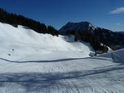 Descente Gammering aux alpages de Gammering