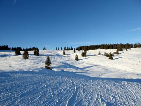 Alpes nord-orientales: Domaines skiables respectueux de l'environnement – Respect de l'environnement Postalm am Wolfgangsee