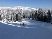 Piste facile Rothaus-Abfahrt
