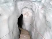 Au printemps et en été : vue sur le glacier