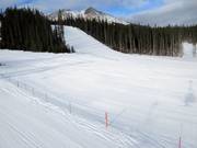 Large piste Bull's Head