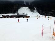 Piste facile au Krallerhoflift à Leogang