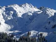 Freeride au Glattingrat