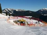 Bon plan pour les enfants : 