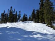 Piste à bosses dans le domaine skiable d'Idre Fjäll