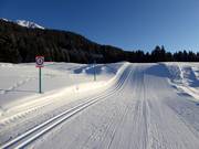 Piste de ski de fond à Lenzerheide