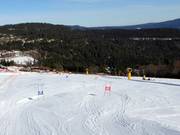 Slalom géant parallèle pour enfants avec double chronométrage