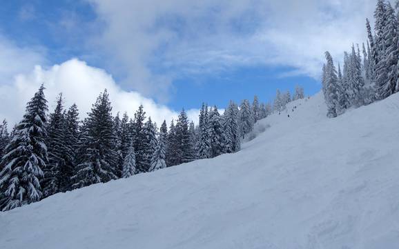 Domaines skiables pour skieurs confirmés et freeriders Chaîne de Monashee – Skieurs confirmés, freeriders Red Mountain Resort – Rossland