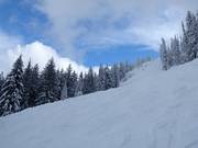 Des descentes très difficiles au Red Mountain