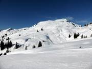 Vue sur le Diedamskopf