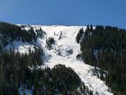 Des pistes à bosses raides dans la Pallavicini Bowl