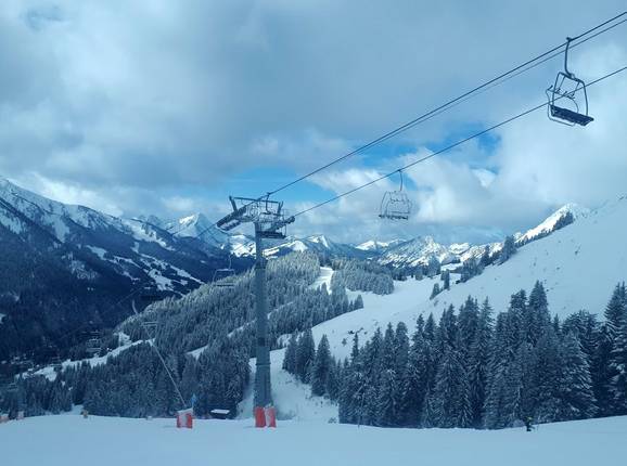 TS de Braitaz - © Michael Medek