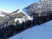 Pistes entre Ponte di Legno et Temù