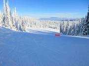 Large et facile piste Cahilty