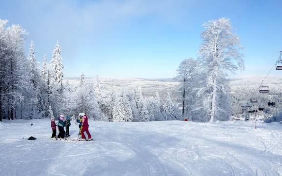 Freyung-Grafenau: Domaines skiables respectueux de l'environnement – Respect de l'environnement Mitterdorf – Almberg