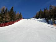 Piste Var "S" vers Vierschach