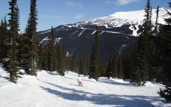 Diversité des pistes Chaînons Garibaldi – Diversité des pistes Whistler Blackcomb