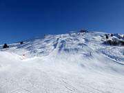 Piste difficile Carlo Janka n° 2