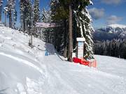 Bon plan pour les enfants : 