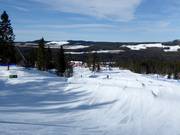 Bon plan pour les enfants : 