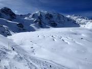 Descente du glacier de Morteratsch avec le Piz Palü (3900 m)